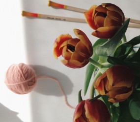 knitting needles straight tulip color - knit affair